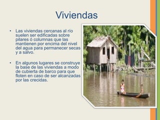 Viviendas
• Las viviendas cercanas al río
suelen ser edificadas sobre
pilares ó columnas que las
mantienen por encima del nivel
del agua para permanecer secas
y a salvo.
• En algunos lugares se construye
la base de las viviendas a modo
de cubierta de barco para que
floten en caso de ser alcanzadas
por las crecidas.
 