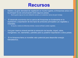 Recursos
• Debido a la gran densidad de vegetación en mucho lugares, el Amazonas actúa com
la principal vía de comunicación entre algunos países.
– Mucha gente viaja por la zona utilizando canoas y, en ocasiones, barcos de gran tonelaje.
• El desarrollo económico de la cuenca del Amazonas se fundamenta en la
explotación y exportación de dos tipos de productos principales Los vegetales y
minerales.
– El caucho, madera de diferentes árboles, nueces de Brasil, aceites vegetales
• Una gran reserva mineral permite la extracción de bauxita, níquel, cobre,
manganeso, oro, diamantes y petróleo para su posterior exportación a otros países.
• El rio Amazona tiene un increíble valor potencial para desarrollar energía
hidroeléctrica.
 