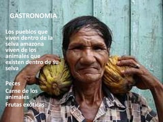 GASTRONOMIA
Los pueblos que
viven dentro de la
selva amazona
viven de los
animales que
existen dentro de su
selva
Peces
Carne de los
animales
Frutas exóticas
 