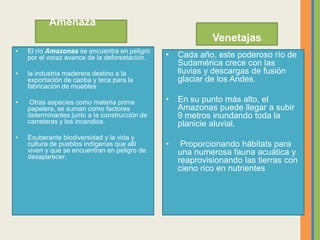 Amenaza
• El río Amazonas se encuentra en peligro
por el voraz avance de la deforestación.
• la industria maderera destino a la
exportación de caoba y teca para la
fabricación de muebles
• Otras especies como materia prima
papelera, se suman como factores
determinantes junto a la construcción de
carreteras y los incendios.
• Exuberante biodiversidad y la vida y
cultura de pueblos indígenas que allí
viven y que se encuentran en peligro de
desaparecer.
Venetajas
• Cada año, este poderoso río de
Sudamérica crece con las
lluvias y descargas de fusión
glaciar de los Andes.
• En su punto más alto, el
Amazonas puede llegar a subir
9 metros inundando toda la
planicie aluvial.
• Proporcionando hábitats para
una numerosa fauna acuática y
reaprovisionando las tierras con
cieno rico en nutrientes
 