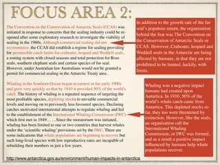 The Convention on the Conservation of Antarctic Seals (CCAS) was
initiated in response to concerns that the sealing industry could be re-
opened after some exploratory research to investigate the viability of
sealing in the 1960s. Although commercial sealing did not
recommence, the CCAS did establish a regime for sealing providing
for permissible catch limits for crabeater, leopard and Weddell seals,
a zoning system with closed seasons and total protection for Ross
seals, southern elephant seals and certain species of fur seal.
However, under Australian law Australians would not be granted a
permit for commercial sealing in the Antarctic Treaty area.
Whaling in the Southern Ocean began in earnest in the early 1900s
and grew very quickly so that by 1910 it provided 50% of the world's
catch. The history of whaling is a repeated sequence of targeting the
most proﬁtable species, depleting stocks to unviable commercial
levels and moving on to previously less favoured species. Declining
catches motivated international attempts to regulate whaling and led
to the establishment of the International Whaling Commission (IWC)
which ﬁrst met in 1949… …Since the moratorium was initiated,
whaling has been limited to one or two countries that harvest whales
under the ‘scientiﬁc whaling’ provisions set by the IWC. There are
some indications that whale populations are beginning to recover but
such long-lived species with low reproductive rates are incapable of
rebuilding their numbers in just a few years.
FOCUS AREA 2:
Whaling was a negative impact
humans had created upon
Antartica. In 1910, 50% of the
world’s whale catch came from
Antartica. This depleted stocks so
far, they too were threatened by
extinction. However, like the seals,
an organisation call the
International Whaling
Commission, or IWC was formed,
and as a result a positive impact
inﬂuenced by humans help whale
populations recover.
http://www.antarctica.gov.au/environment/human-impacts-in-antarctica
In addition to the growth rate of the fur
seal’s populous return, the organisation
behind the feat was The Convention on
the Conservation of Antarctic Seals or
CCAS. However, Crabeater, leopard and
Weddell seals in the Antarctic are being
affected by humans, in that they are not
prohibited to be hunted, luckily, with
limits.
 