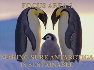 MAKING SURE ANTARCTICA
IS SUSTAINABLE
FOCUS AREA 3
 
