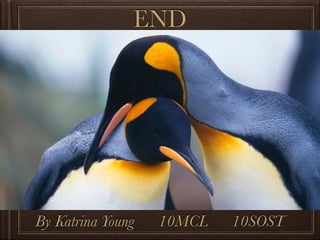 END
By Katrina Young 10MCL 10SOST
 