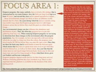 Emperor penguins, like many seabirds, have evolved a life strategy that is
characterised by two main features: ﬁrst, the birds are long-lived (up to at
least 40 years), and second they have a low annual reproductive output…
…these environmental changes are likely to have an inﬂuence on the
animals that live there. In a year during which the fast-ice extends a long
way north it may mean that Emperor penguins have to walk longer
distances across the ice before they reach the pack-ice where they can
forage…
Any environmental change can also inﬂuence the abundance and
distribution of prey. Thus, the effort the penguins have to put into
gathering food may vary. When studying Emperor penguins we are trying
to determine how these changes in the environment affect the penguin
populations. Say, for example, we have an especially cold year during
which the ice-edge is a long way from the colony, the penguins must
travel maybe 80-100 km before they can enter the open water. Once they
are there the birds may ﬁnd it much harder to hunt the ﬁsh and squid
which means that they have to spend more time at sea to get what they
need for themselves, as well as for their chicks. In a year like that the
chicks have to wait much longer between feeds. Some may be thin and
many may not even live long enough to ﬂedge (shed their down, grow
real feathers and become waterproof)…
Emperor penguins depend on the fast-ice for their long-term survival.
Without a breeding platform they have nowhere to go. But it is also
important that this platform is available for the duration of the chick
rearing period.
FOCUS AREA 1:
http://www.antarctica.gov.au/about-antarctica/wildlife/animals/penguins/emperor-penguins/adapting-to-a-changing-environment
Emperor Penguins, like the seal, walrus,
polar bears and ice algae are also affected
by the Antarctic environment, making their
behavioural and physical characteristics.
They have ‘evolved a life strategy’ that,
due to the climate and harsh conditions,
they have a low annual reproductive rate,
but a longer life span to ensure the
continuance of their species. The
environmental changes between summer
and winter, and how taking care of eggs
and young can be incredibly difﬁcult is
what inﬂuences the Emperor Penguins in
such way. Antartica signiﬁcantly, with it’s
obscure environment is what makes it so
unique to have such drastic inﬂuences. If
the ‘fast-ice’ is spread out a long way north
due to a cold year, it inﬂuences the
Penguins to travel further, forcing them to
travel 80-100km to forage, and hunt prey
in open water. If, due to these conditions it
will not only impact the hunter themselves,
but the future generation of Emperor
Penguins, as they have to spend more time
away from the chicks who rely on their
parents for food. If left to long they
become thin and die before ﬂedging, thus
not continuing the cycle of their species.
Antartica’s ‘fast-ice’ ensure the Penguins
long-term survival’. It provides a breeding
and ‘chick’rearing’ platform, as well as an
easy access to prey.
 