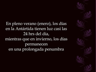 En pleno verano (enero), los días en la Antártida tienen luz casi las 24 hrs del día, mientras que en invierno, los días permanecen en una prolongada penumbra 