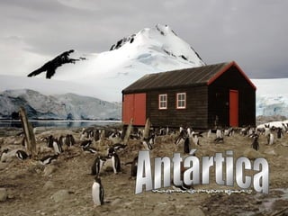 Antártica 