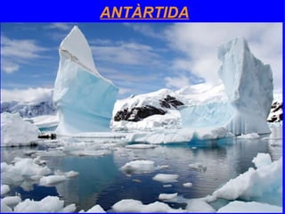 Antartida