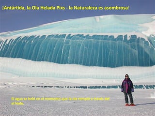 ¡Antártida, la Ola Helada Pixs - la Naturaleza es asombrosa !  El agua se heló en el momento que la ola rompió a través del  el hielo.  