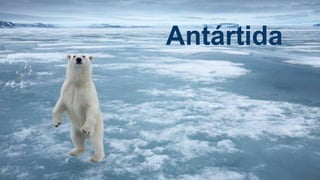 Antártida
 