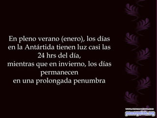 En pleno verano (enero), los días en la Antártida tienen luz casi las 24 hrs del día, mientras que en invierno, los días permanecen en una prolongada penumbra 