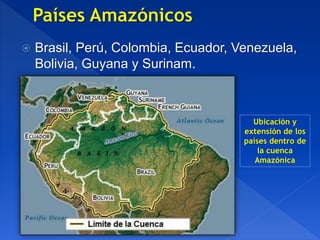  Brasil, Perú, Colombia, Ecuador, Venezuela,
Bolivia, Guyana y Surinam.
Ubicación y
extensión de los
países dentro de
la cuenca
Amazónica
 