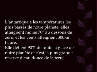 L’antartique a les températures les plus basses de notre planète, elles atteignent moins 70° au dessous de zéro, et les vents atteignent 300km heure. Elle détient 90% de toute la glace de notre planète et c’est la plus grande réserve d’eau douce de la terre. 