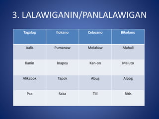 Halimbawa Ng Salitang Lalawiganin Kolokyal At Balbal - pambansano