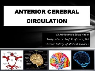 ANTERIOR CEREBRAL
   CIRCULATION

                Dr.Mohammed Sadiq Azam
        Postgraduate, Prof.Siraj’s unit, M:I
        Deccan College of Medical Sciences
 