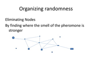 Organizing randomness
Eliminating Nodes
By finding where the smell of the pheromone is
stronger
 