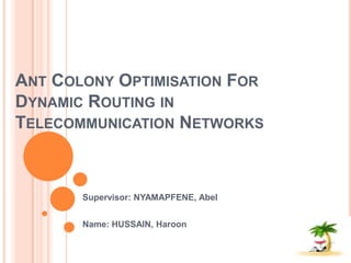 Ant Colony Optimisation For Dynamic Routing in Telecommunication Networks Supervisor: NYAMAPFENE, Abel  Name: HUSSAIN, Haroon 