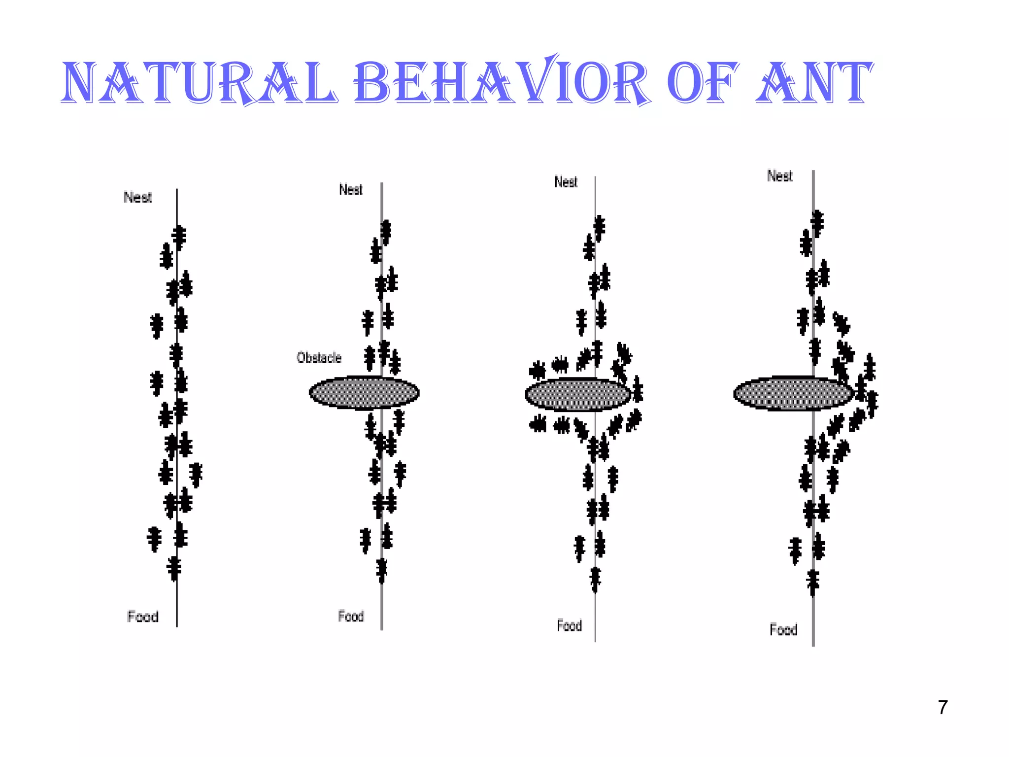 Natural behavior of ant 