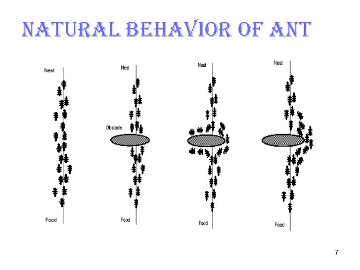 magazine scientific american mind