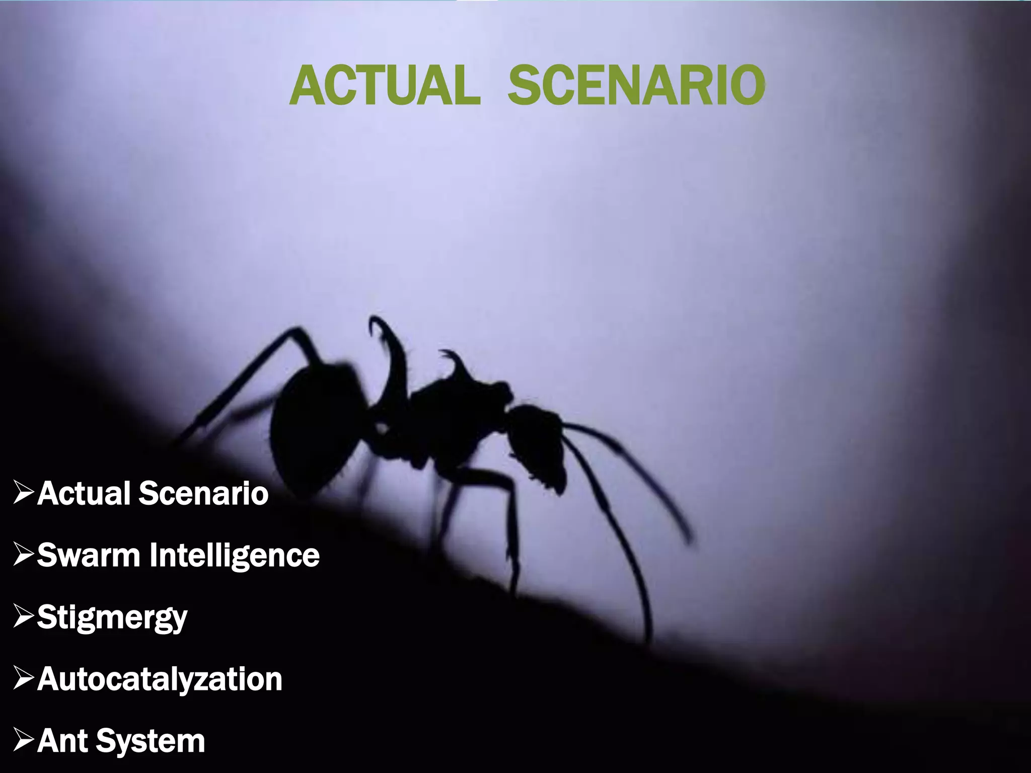 Actual Scenario
Swarm Intelligence
Stigmergy
Autocatalyzation
Ant System
ACTUAL SCENARIO
 
