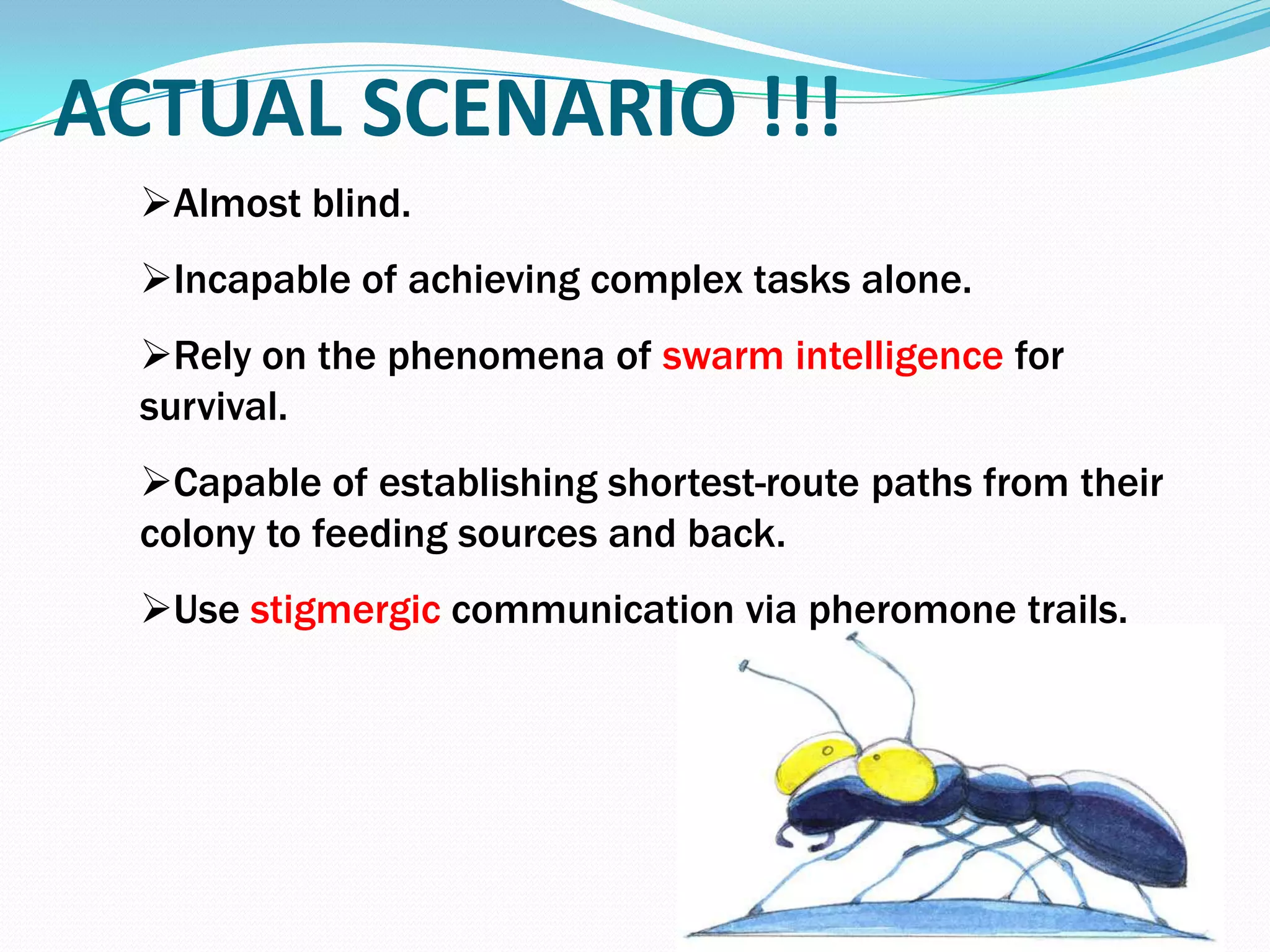 Almost blind.
Incapable of achieving complex tasks alone.
Rely on the phenomena of swarm intelligence for
survival.
Capable of establishing shortest-route paths from their
colony to feeding sources and back.
Use stigmergic communication via pheromone trails.
ACTUAL SCENARIO !!!
 