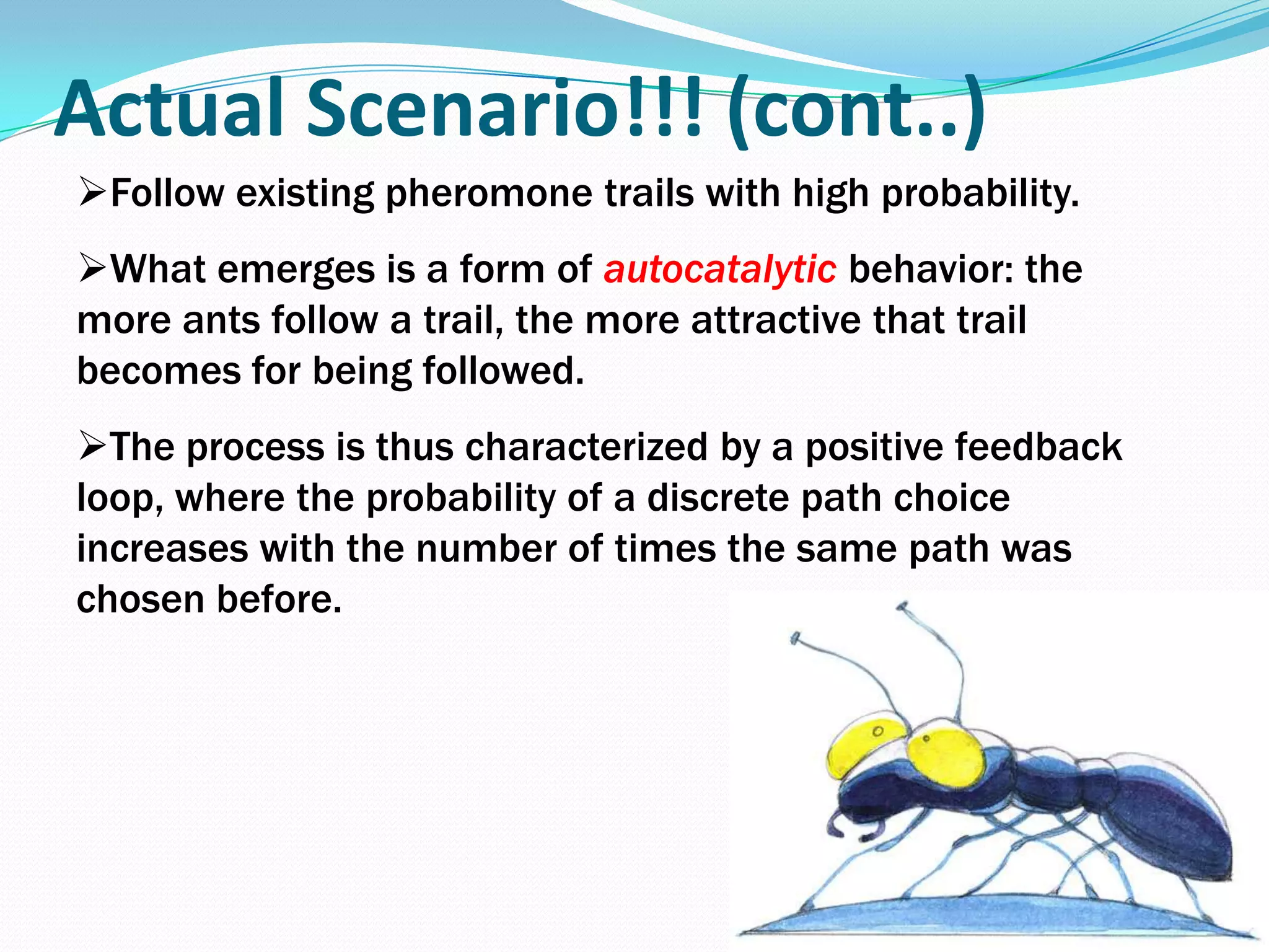 Follow existing pheromone trails with high probability.
What emerges is a form of autocatalytic behavior: the
more ants follow a trail, the more attractive that trail
becomes for being followed.
The process is thus characterized by a positive feedback
loop, where the probability of a discrete path choice
increases with the number of times the same path was
chosen before.
Actual Scenario!!! (cont..)
 