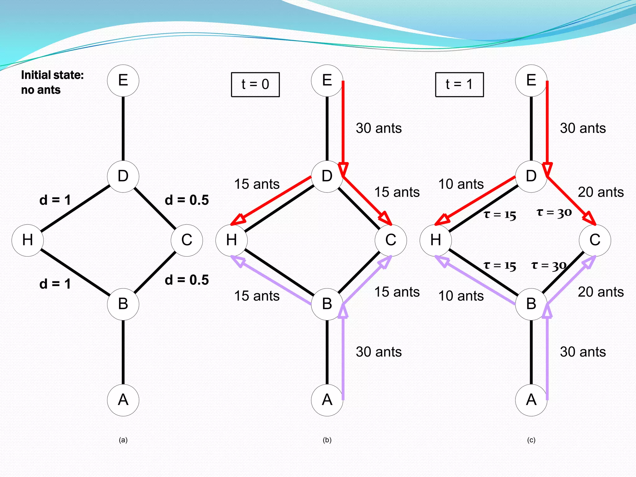 E
D
C
H
B
A
(b)
30 ants
30 ants
15 ants
15 ants
15 ants
15 ants
t = 0
d = 0.5
d = 0.5
d = 1
d = 1
E
D
C
H
B
A
(a)
E
D
C
H
B
A
(c)
30 ants
30 ants
20 ants
20 ants
10 ants
10 ants
t = 1
τ = 30
τ = 30
τ = 15
τ = 15
Initial state:
no ants
 