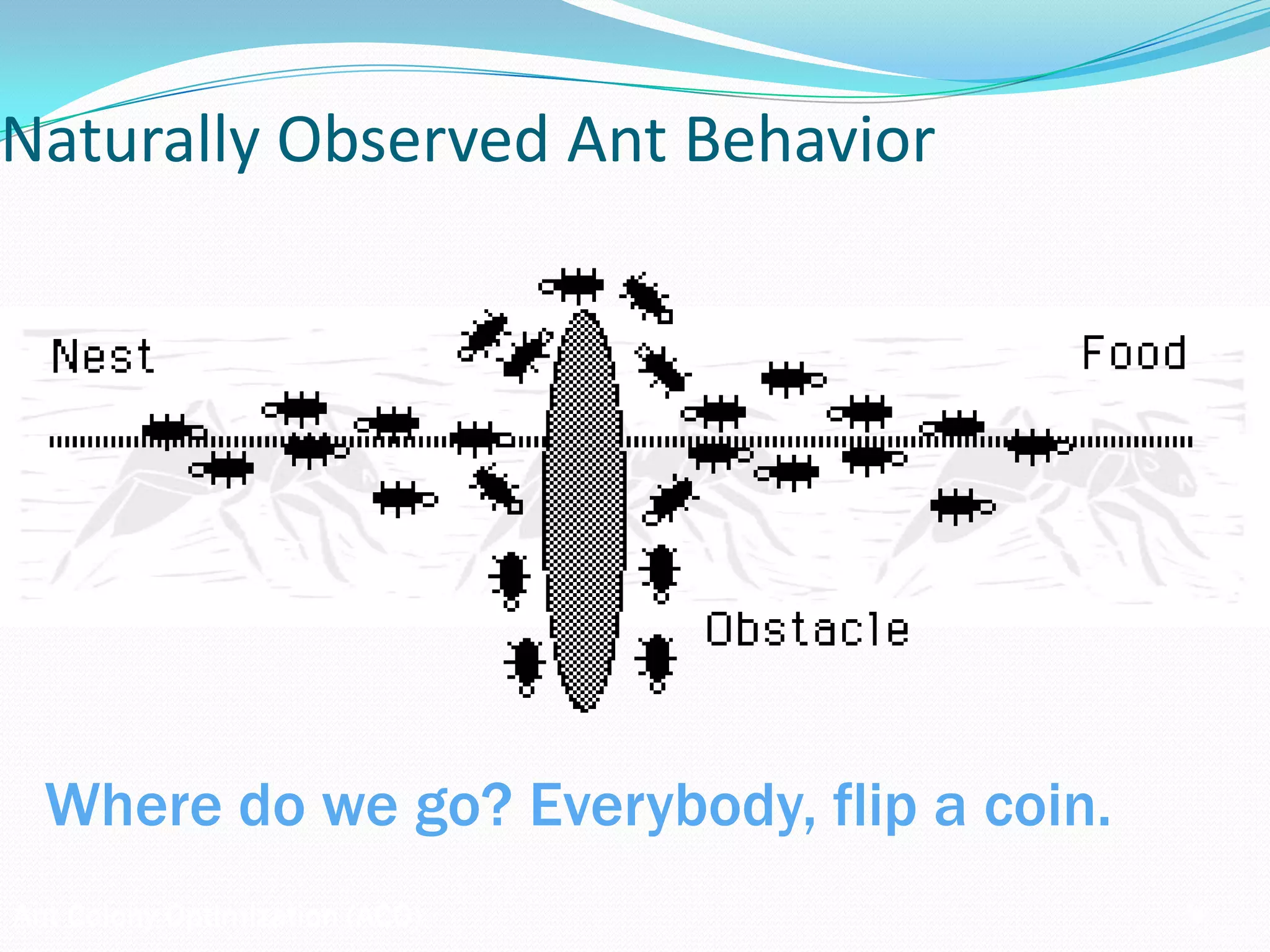 Ant Colony Optimization (ACO)
Naturally Observed Ant Behavior
Where do we go? Everybody, flip a coin.
 