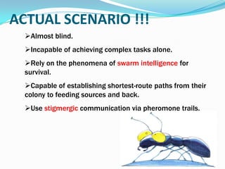 Almost blind.
Incapable of achieving complex tasks alone.
Rely on the phenomena of swarm intelligence for
survival.
Capable of establishing shortest-route paths from their
colony to feeding sources and back.
Use stigmergic communication via pheromone trails.
ACTUAL SCENARIO !!!
 