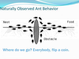 Ant Colony Optimization (ACO)
Naturally Observed Ant Behavior
Where do we go? Everybody, flip a coin.
 