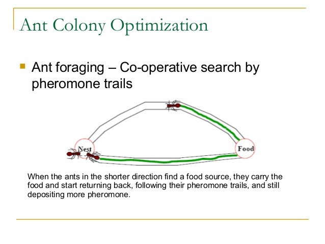 Ant colony optimization