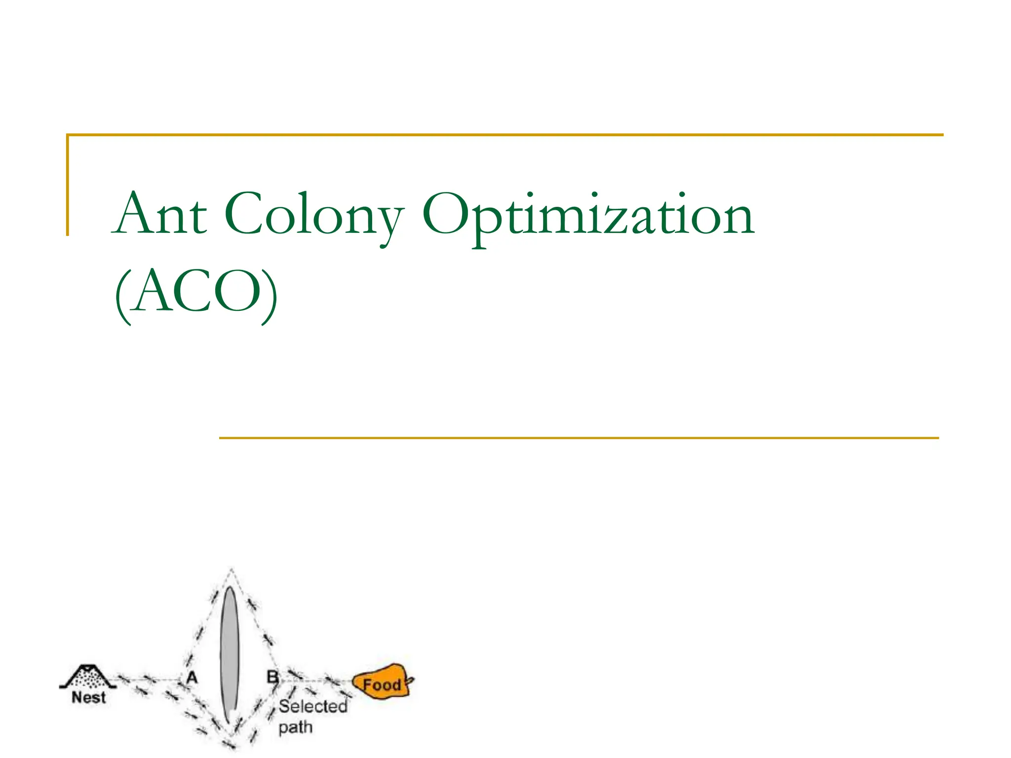 Ant Colony Optimization
(ACO)
 