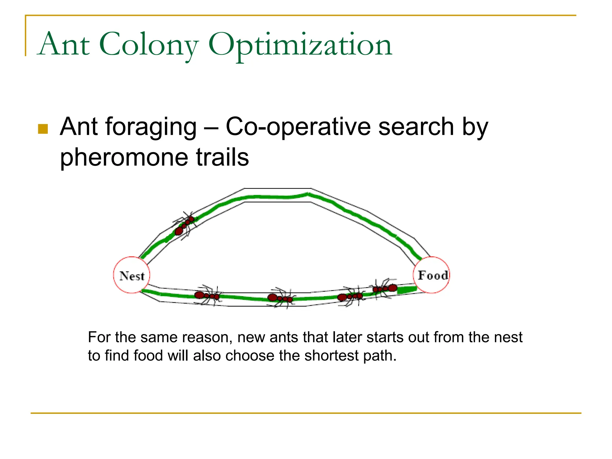 Ant Colony Optimization
 Ant foraging – Co-operative search by
pheromone trails
For the same reason, new ants that later starts out from the nest
to find food will also choose the shortest path.
 