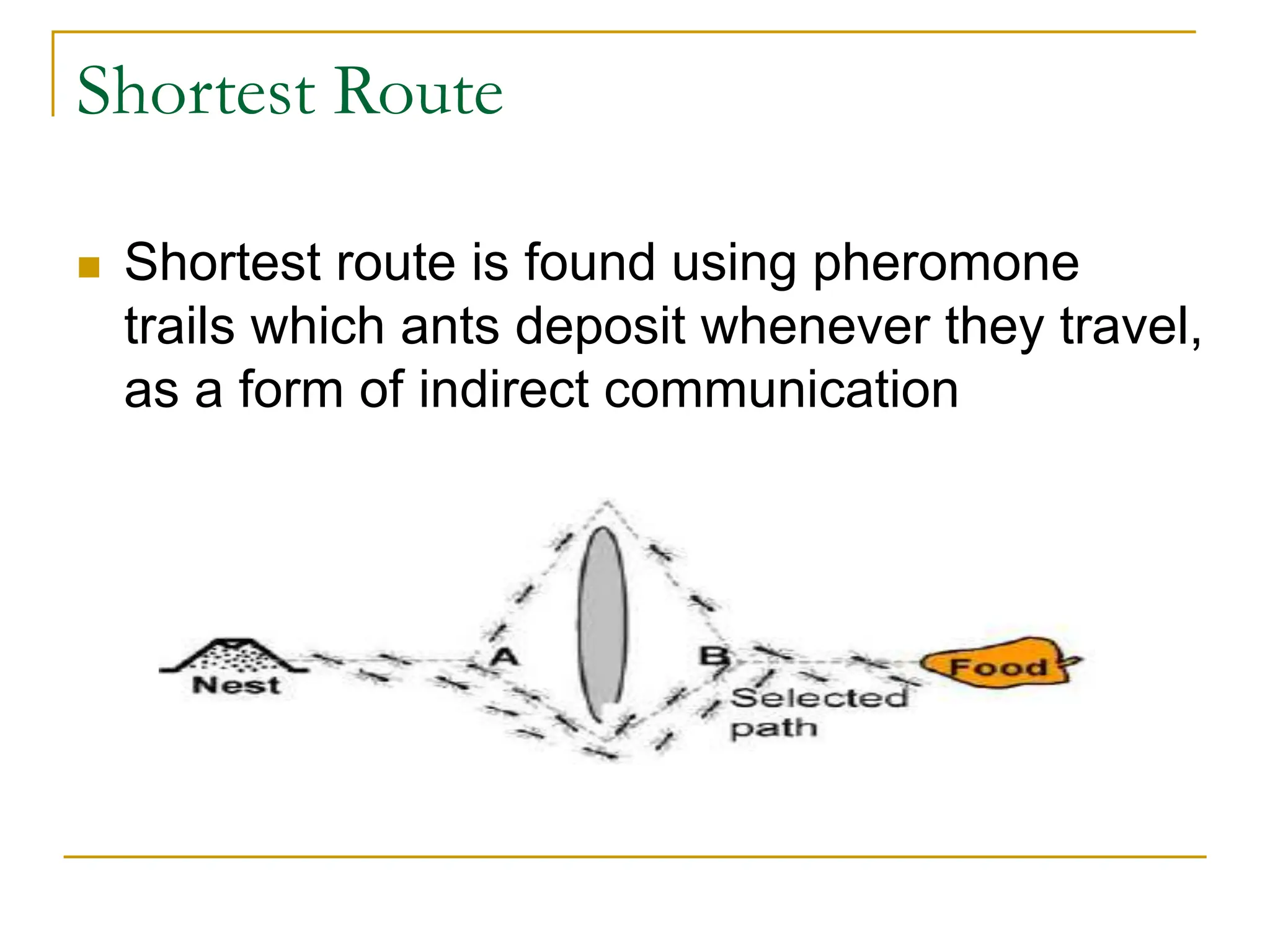 Shortest Route
 Shortest route is found using pheromone
trails which ants deposit whenever they travel,
as a form of indirect communication
 