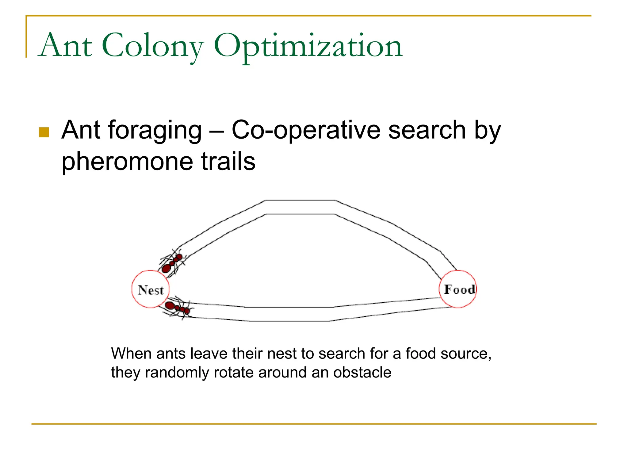 Ant Colony Optimization
 Ant foraging – Co-operative search by
pheromone trails
When ants leave their nest to search for a food source,
they randomly rotate around an obstacle
 