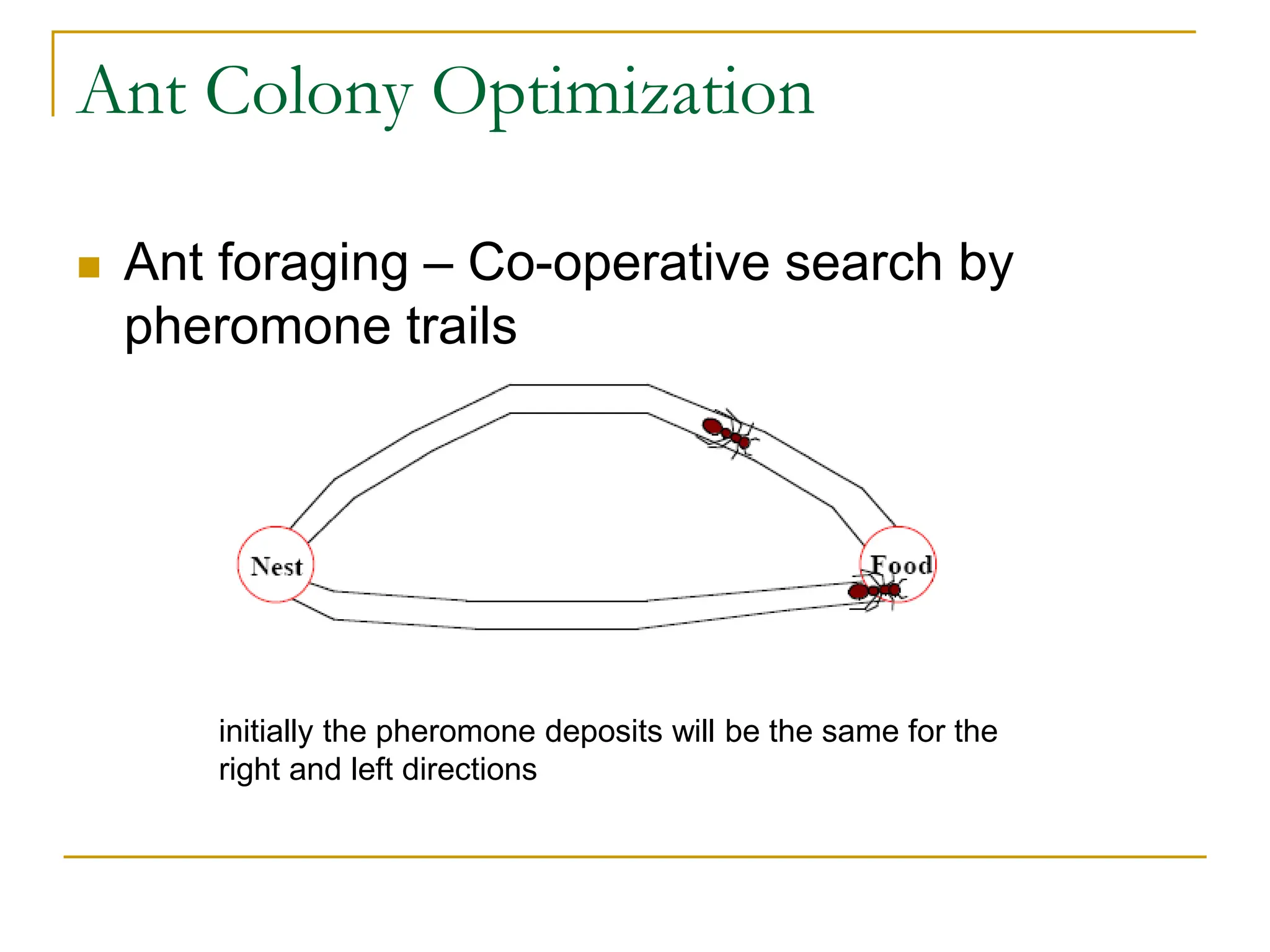 Ant Colony Optimization
 Ant foraging – Co-operative search by
pheromone trails
initially the pheromone deposits will be the same for the
right and left directions
 