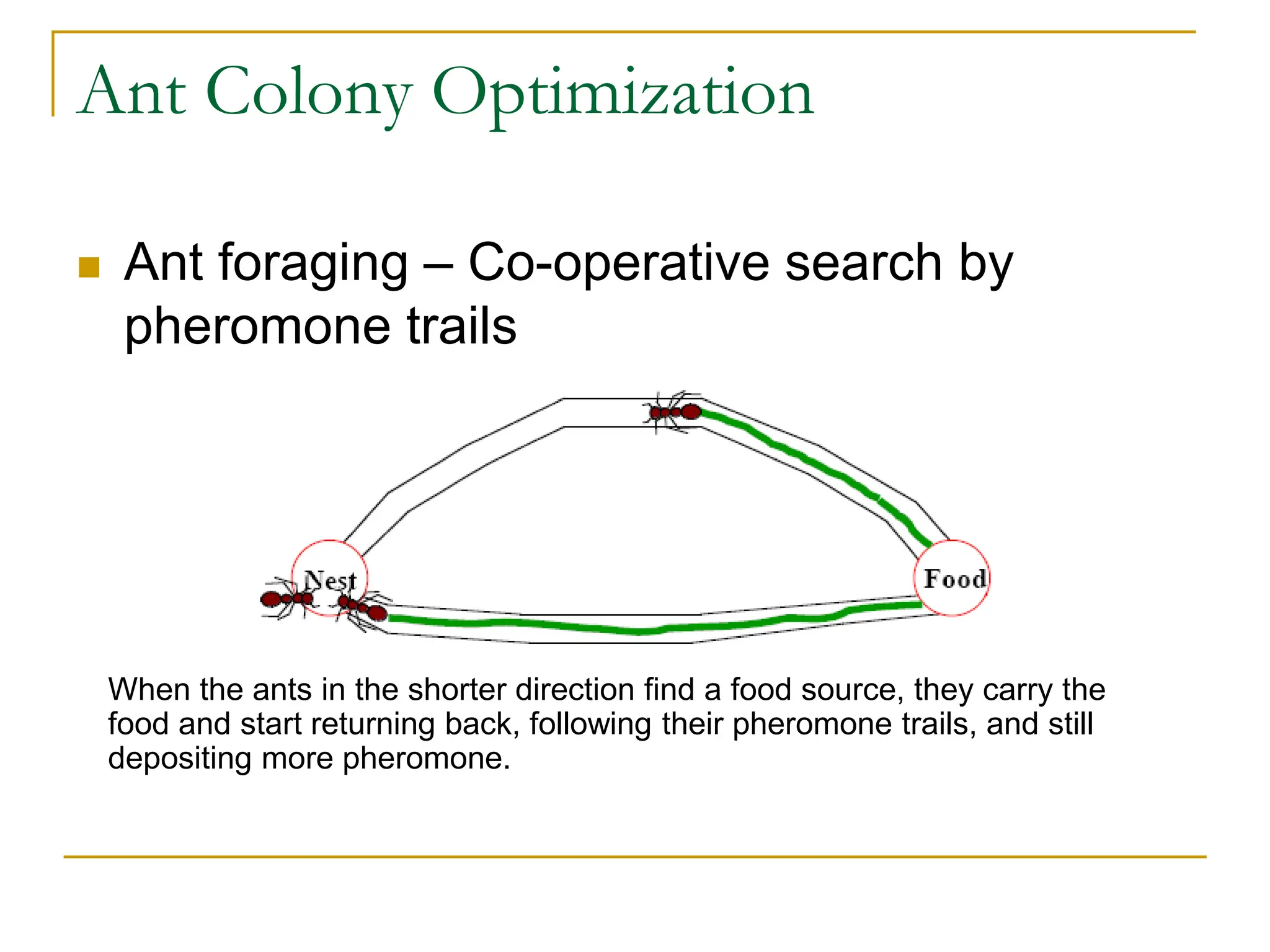 Ant Colony Optimization
 Ant foraging – Co-operative search by
pheromone trails
When the ants in the shorter direction find a food source, they carry the
food and start returning back, following their pheromone trails, and still
depositing more pheromone.
 