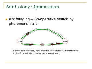 Ant Colony Optimization
 Ant foraging – Co-operative search by
pheromone trails
For the same reason, new ants that later starts out from the nest
to find food will also choose the shortest path.
 