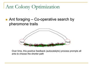 Ant Colony Optimization
 Ant foraging – Co-operative search by
pheromone trails
Over time, this positive feedback (autocatalytic) process prompts all
ants to choose the shorter path
 