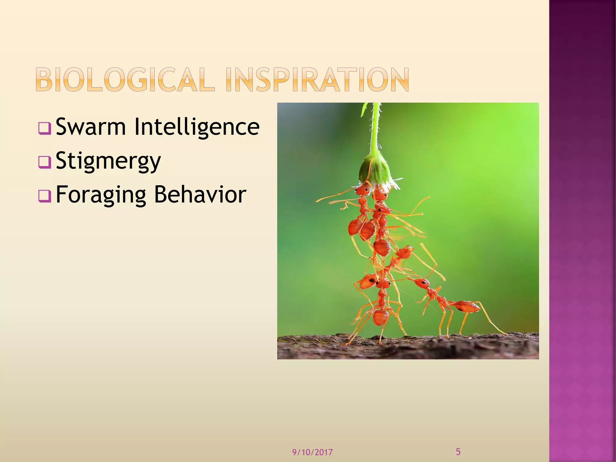  Swarm Intelligence
 Stigmergy
 Foraging Behavior
9/10/2017 5
 