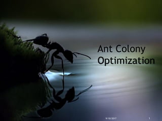 Ant Colony
Optimization
9/10/2017 1
 