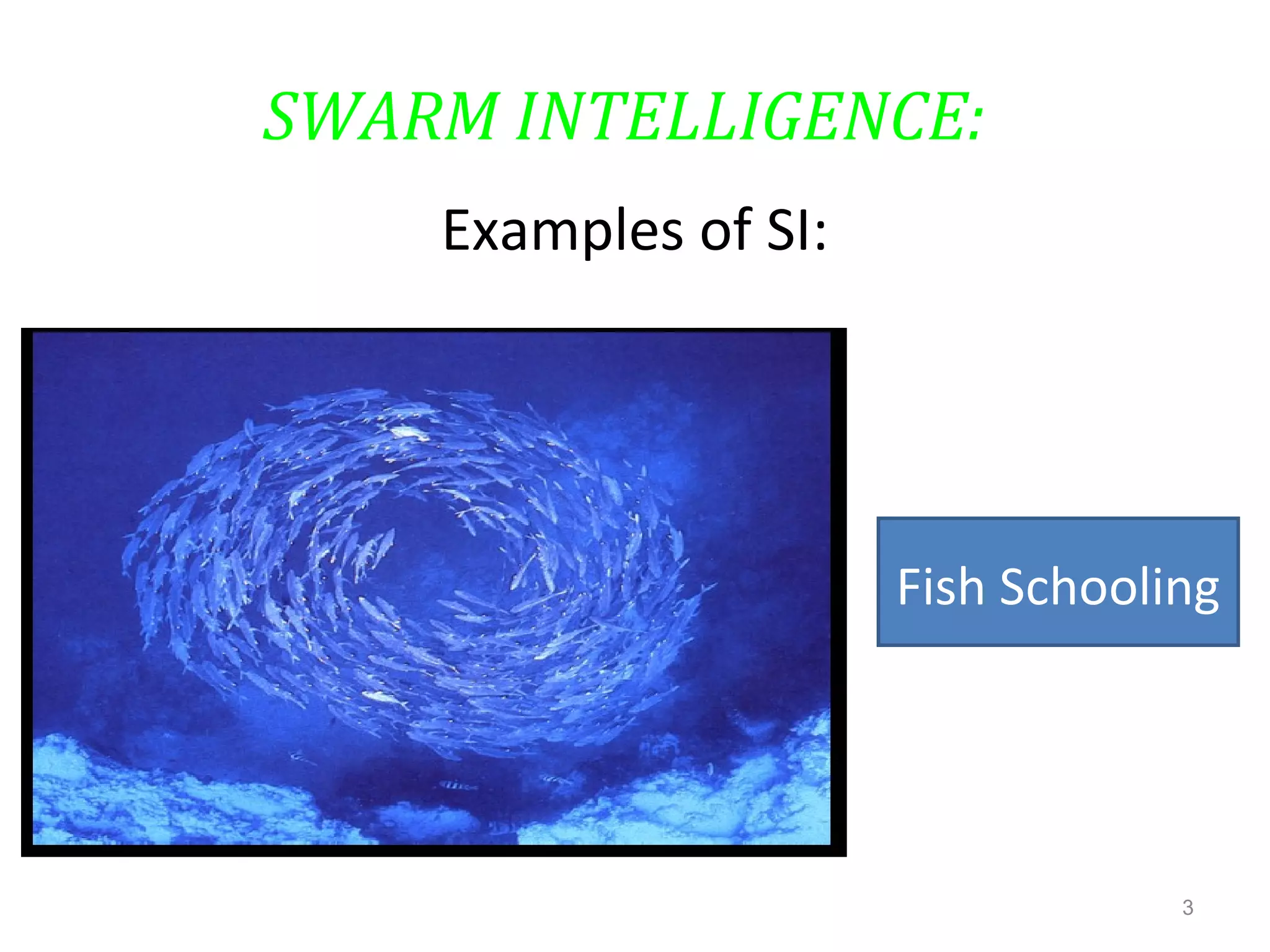 SWARM INTELLIGENCE:
Examples of SI:
3
Fish Schooling
 