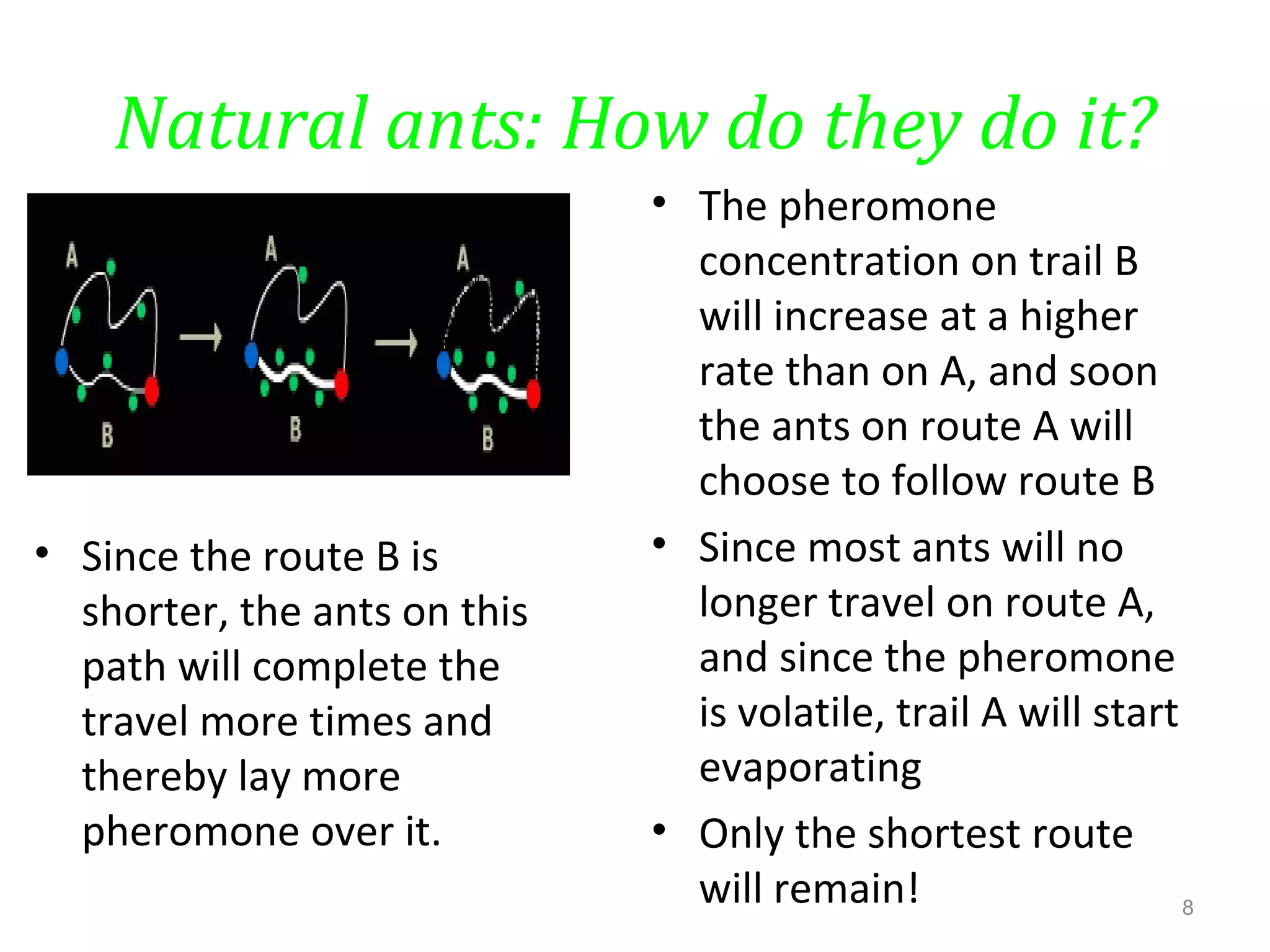 Natural ants: How do they do it?
• Since the route B is
shorter, the ants on this
path will complete the
travel more times and
thereby lay more
pheromone over it.
• The pheromone
concentration on trail B
will increase at a higher
rate than on A, and soon
the ants on route A will
choose to follow route B
• Since most ants will no
longer travel on route A,
and since the pheromone
is volatile, trail A will start
evaporating
• Only the shortest route
will remain! 8
 