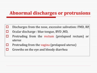 Abnormal discharges or protrusions
 Discharges from the nose, excessive salivation: FMD, RP,
 Ocular discharge : blue tongue, BVD ,MD,
 Protruding from the rectum (prolapsed rectum) or
uterus
 Protruding from the vagina (prolapsed uterus)
 Growths on the eye and bloody diarrhea
 