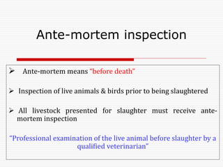  Ante-mortem means “before death”
 Inspection of live animals & birds prior to being slaughtered
 All livestock presented for slaughter must receive ante-
mortem inspection
“Professional examination of the live animal before slaughter by a
qualified veterinarian”
Ante-mortem inspection
 