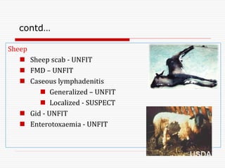 Sheep
 Sheep scab - UNFIT
 FMD – UNFIT
 Caseous lymphadenitis
 Generalized – UNFIT
 Localized - SUSPECT
 Gid - UNFIT
 Enterotoxaemia - UNFIT
contd…
 