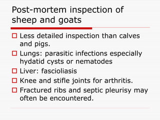 Post-mortem inspection of
sheep and goats
 Less detailed inspection than calves
and pigs.
 Lungs: parasitic infections especially
hydatid cysts or nematodes
 Liver: fascioliasis
 Knee and stifle joints for arthritis.
 Fractured ribs and septic pleurisy may
often be encountered.
 