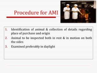 1. Identification of animal & collection of details regarding
place of purchase and origin
2. Animal to be inspected both in rest & in motion on both
the sides
3. Examined preferably in daylight
Procedure for AMI
 