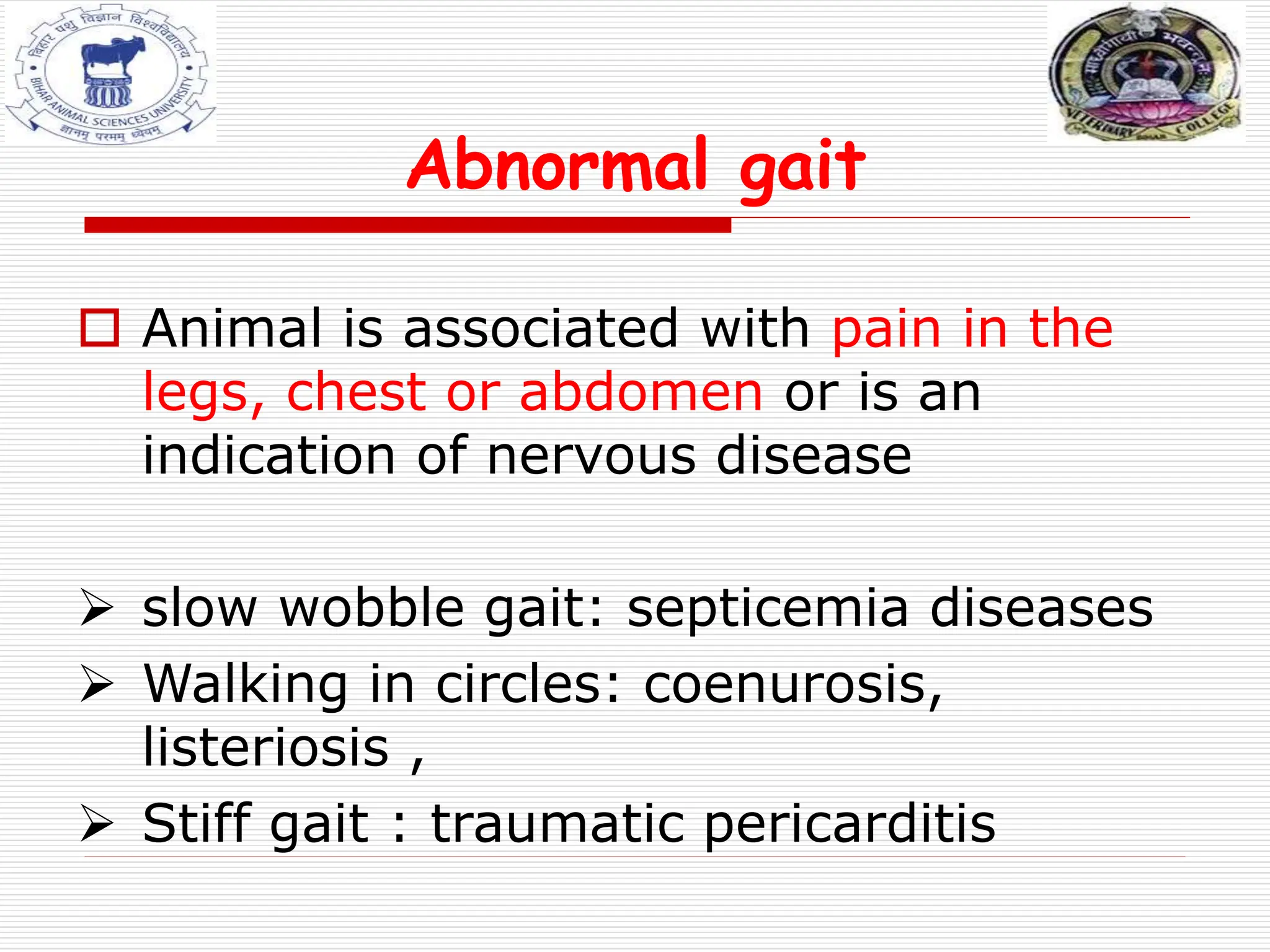 Abnormal gait
 Animal is associated with pain in the
legs, chest or abdomen or is an
indication of nervous disease
 slow wobble gait: septicemia diseases
 Walking in circles: coenurosis,
listeriosis ,
 Stiff gait : traumatic pericarditis
 