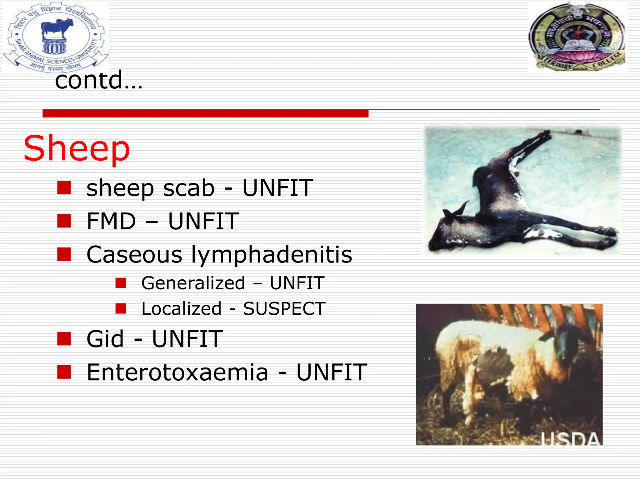 Sheep
 sheep scab - UNFIT
 FMD – UNFIT
 Caseous lymphadenitis
 Generalized – UNFIT
 Localized - SUSPECT
 Gid - UNFIT
 Enterotoxaemia - UNFIT
contd…
 