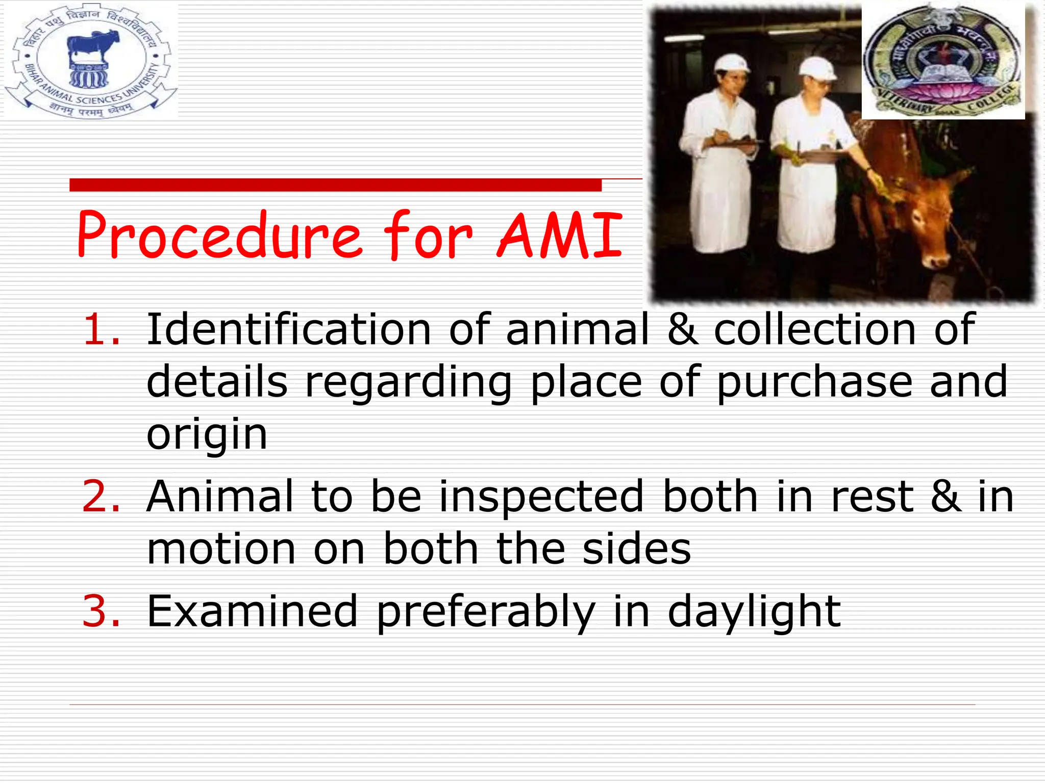 Procedure for AMI
1. Identification of animal & collection of
details regarding place of purchase and
origin
2. Animal to be inspected both in rest & in
motion on both the sides
3. Examined preferably in daylight
 